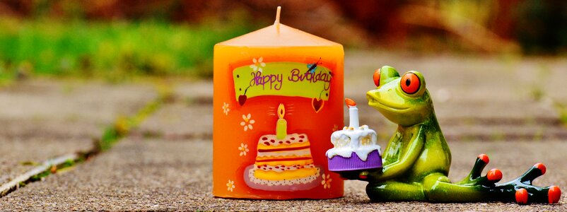 Greeting greeting card funny