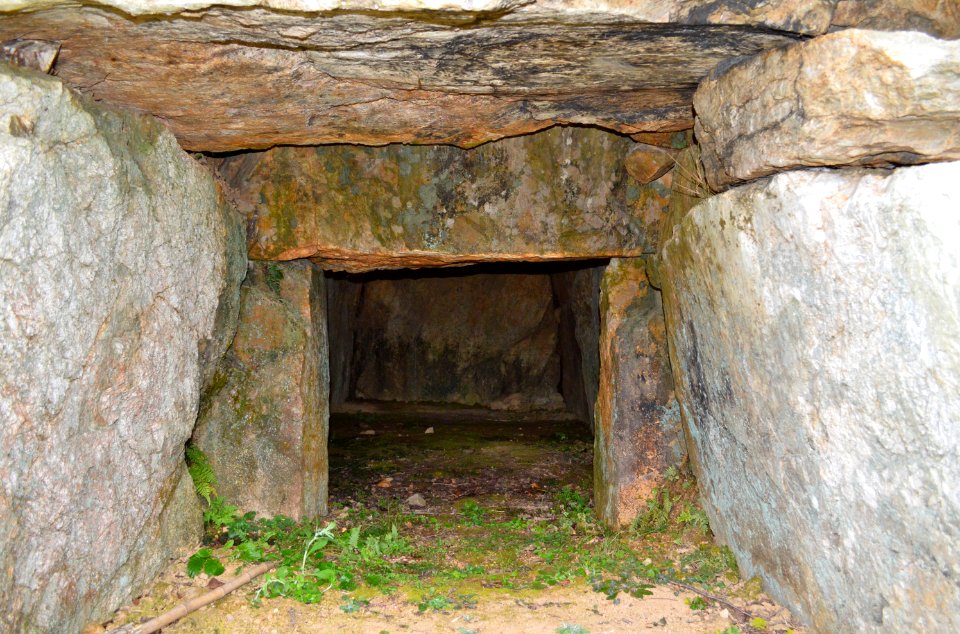 Asakura-kofun (Kochi) -2