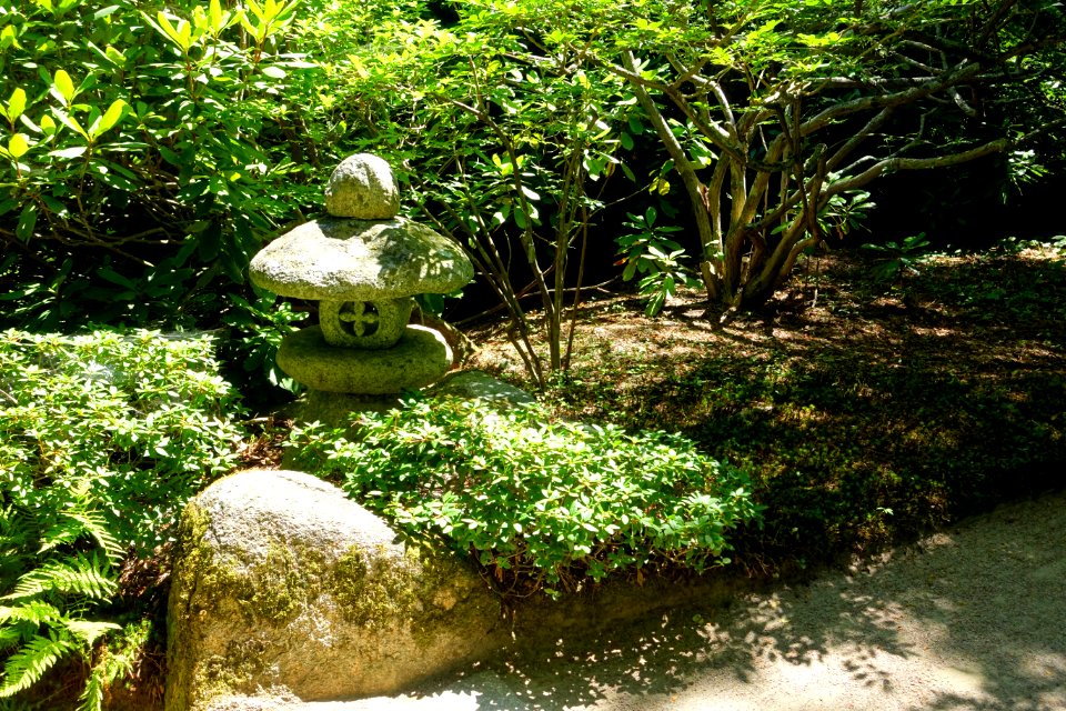 Asticou Azalea Garden - Northeast Harbor, Maine - DSC03450