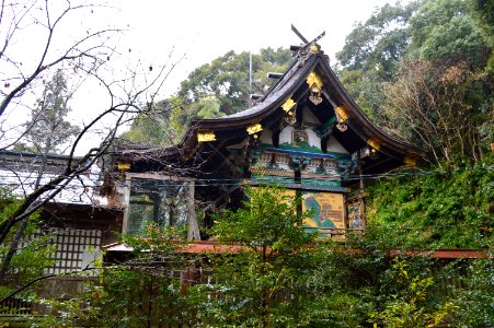 Asakura-jinja (Kochi) honden-2