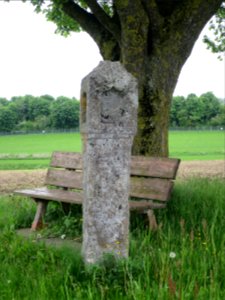 Aschbacher Feld Eisenbartling 2