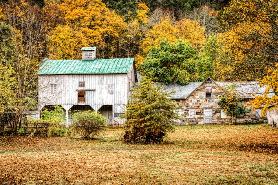 Country fall foliage scene