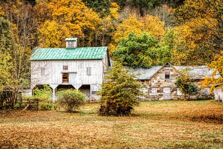 Country fall foliage scene