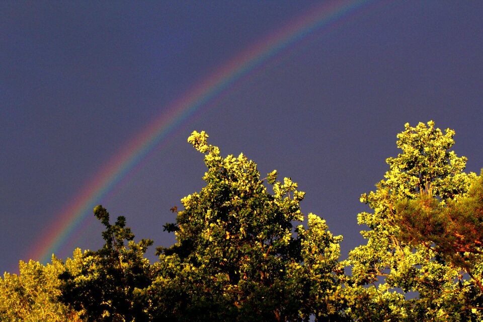 Nature color natural spectacle