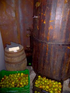Astigarraga - Sagardoetxea-Museo de la Sidra Vasca 15