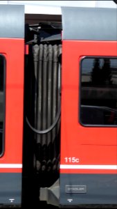 ASm Spatz Faltenbalg