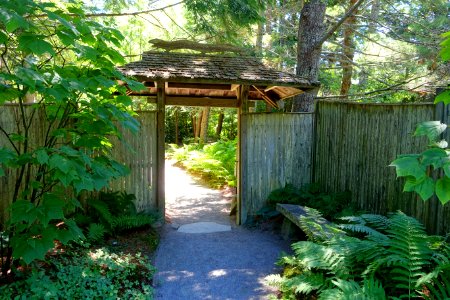 Asticou Azalea Garden - Northeast Harbor, Maine - DSC03438