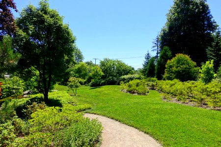 Asticou Azalea Garden - Northeast Harbor, Maine - DSC03566