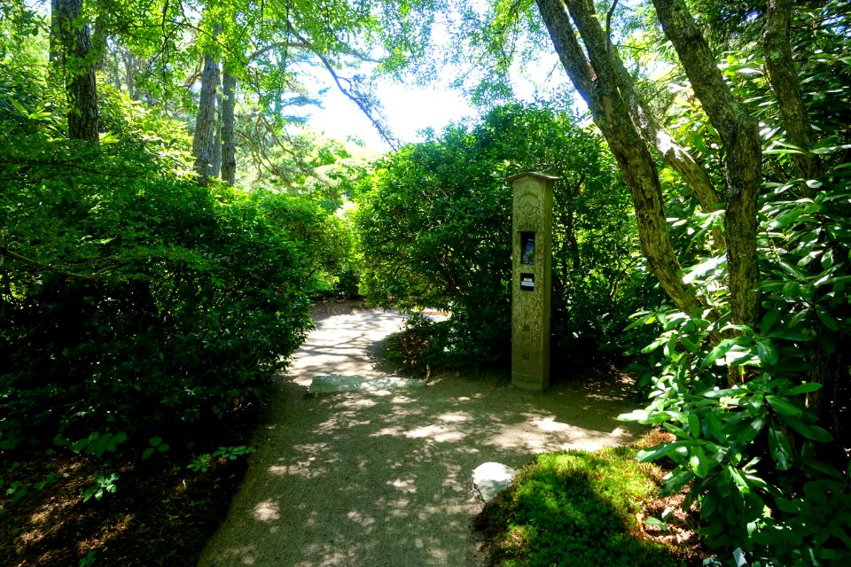Asticou Azalea Garden - Northeast Harbor, Maine - DSC03454