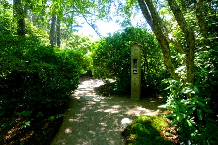Asticou Azalea Garden - Northeast Harbor, Maine - DSC03454