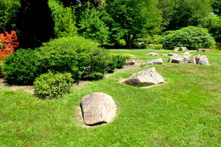 Asticou Azalea Garden - Northeast Harbor, Maine - DSC03568