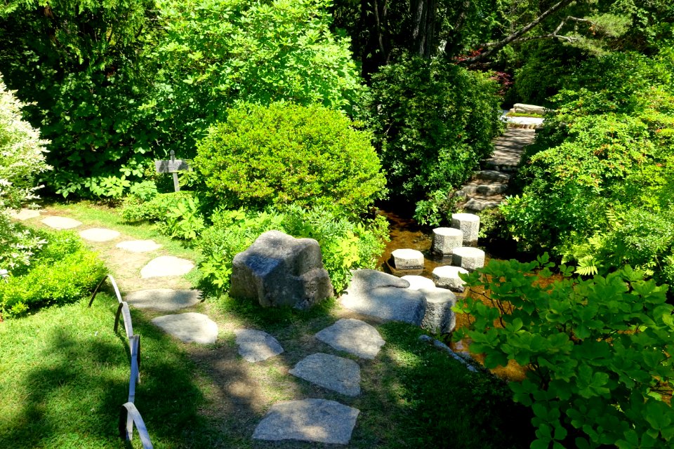 Asticou Azalea Garden - Northeast Harbor, Maine - DSC03606