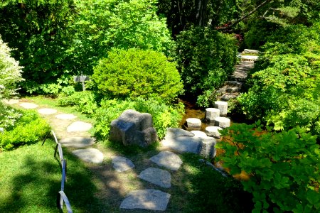 Asticou Azalea Garden - Northeast Harbor, Maine - DSC03606