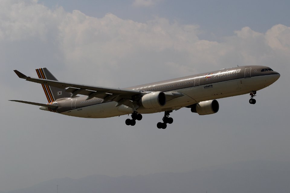 AsianaAirlines A330 fukuoka 20060330105424