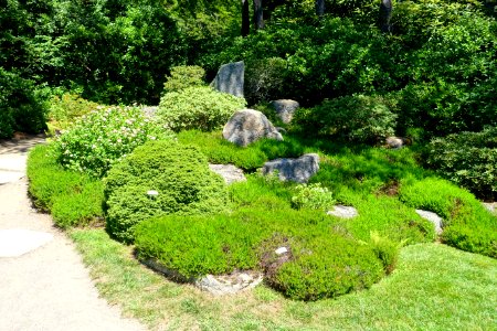 Asticou Azalea Garden - Northeast Harbor, Maine - DSC03498