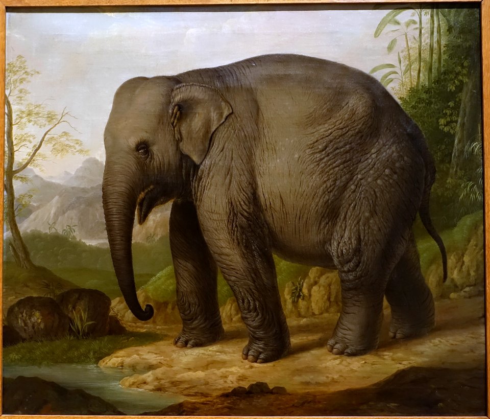 Asian elephant by Christian Wilhelm Kehrer, c. 1816, oil on canvas - Hessisches Landesmuseum Darmstadt - Darmstadt, Germany - DSC00087
