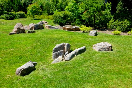 Asticou Azalea Garden - Northeast Harbor, Maine - DSC03598