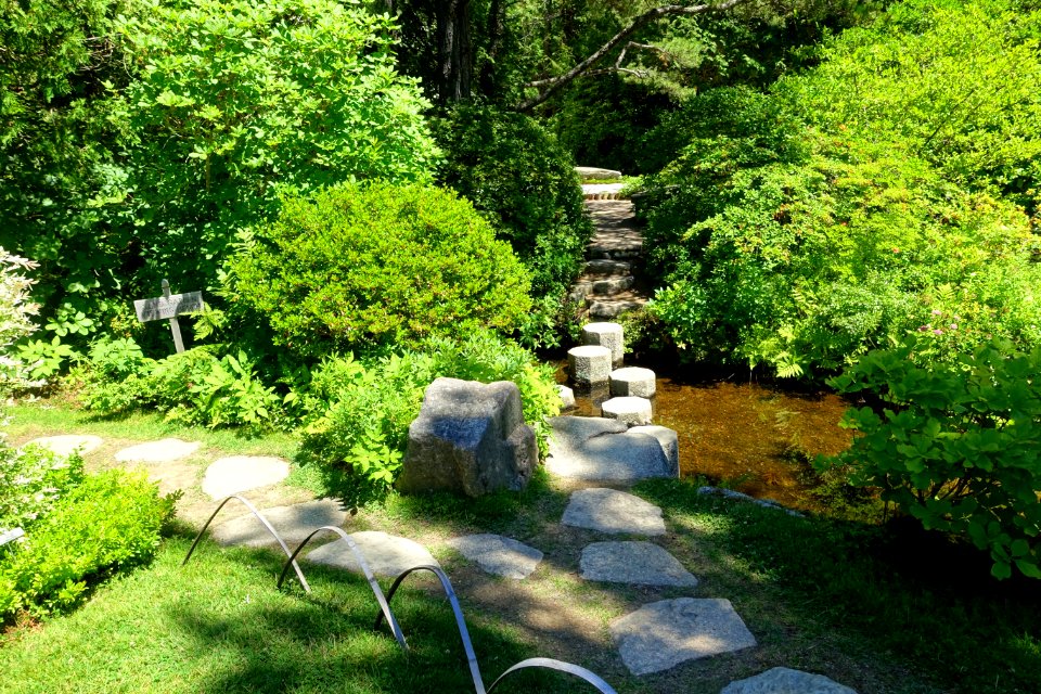 Asticou Azalea Garden - Northeast Harbor, Maine - DSC03604