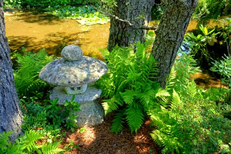 Asticou Azalea Garden - Northeast Harbor, Maine - DSC03608