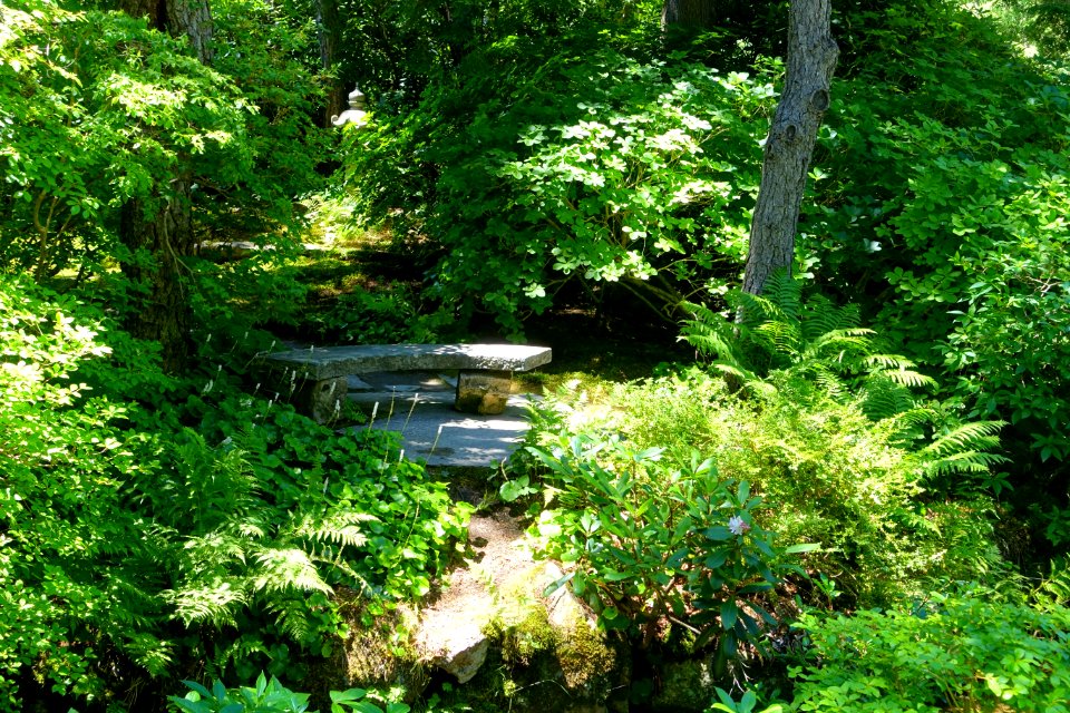 Asticou Azalea Garden - Northeast Harbor, Maine - DSC03677