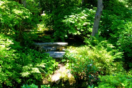 Asticou Azalea Garden - Northeast Harbor, Maine - DSC03677