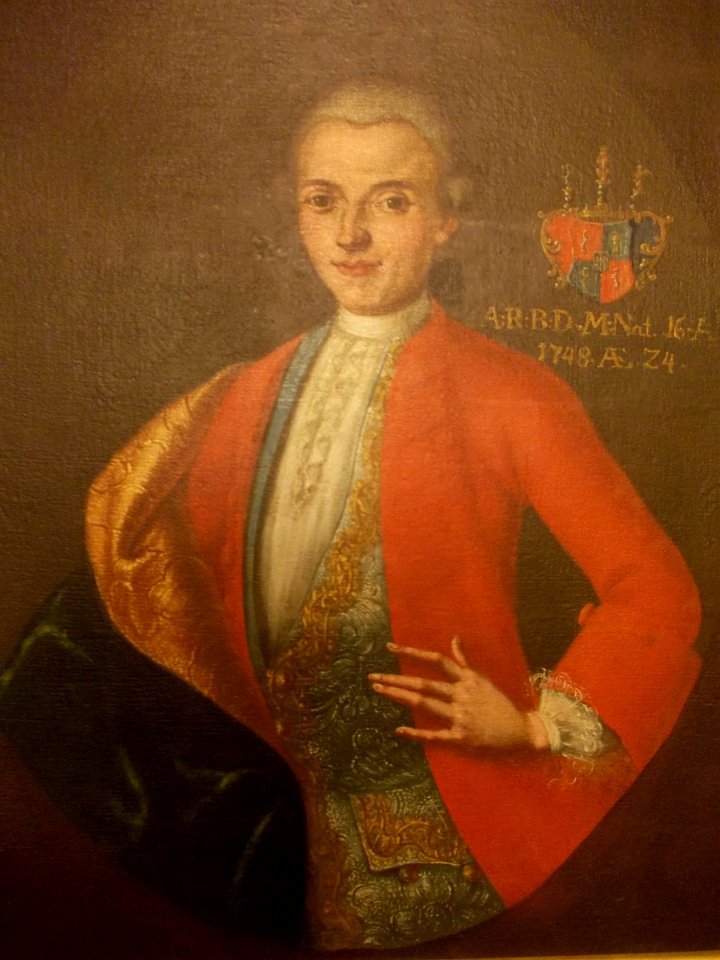 Attems, Brežice Castle