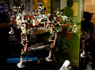 Attila, 1989-1990 - MIT Museum - DSC03723
