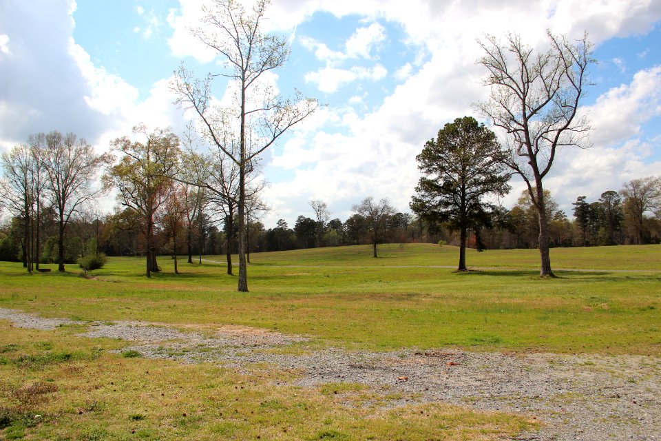 Atlanta Athletic Club grass fields, Mar 2017