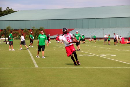 Atlanta Falcons training camp August 2015 IMG 2782