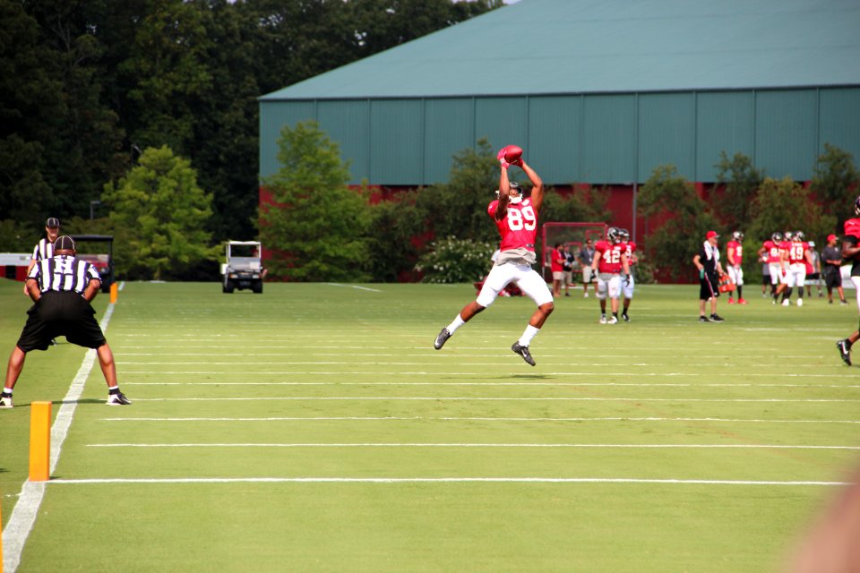 Atlanta Falcons July 2016 training camp IMG 7547