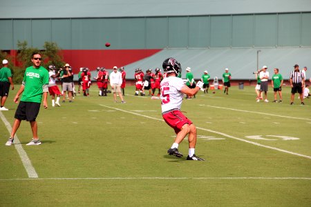 Atlanta Falcons training camp August 2015 IMG 2786