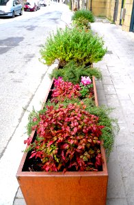 Ataun - Barrio de San Martín 22