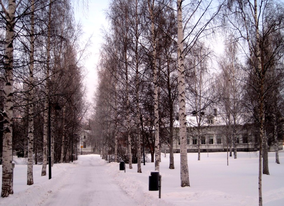 Astrom Park Oulu 20100109
