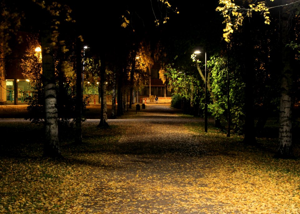 Astrom Park Oulu 20141005