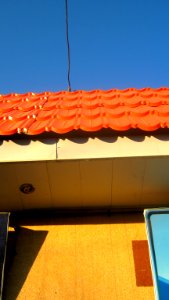 Atefeh ha pre school - kingergarten - Farahbakhsh st - Nishapur 4