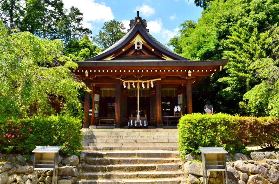 Asukaniimasu-jinja, haiden
