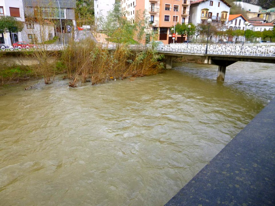 Azpeitia - Río Urola (febrero 2016) 2