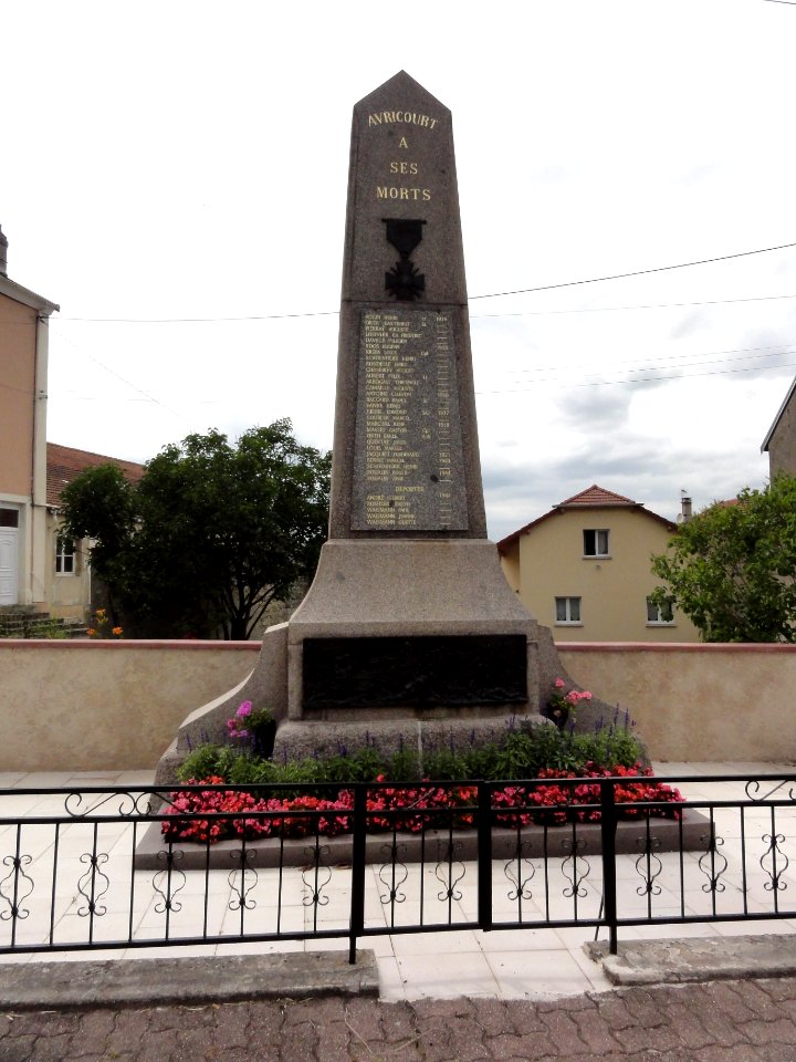 Avricourt (M-et-M) Monument aux morts