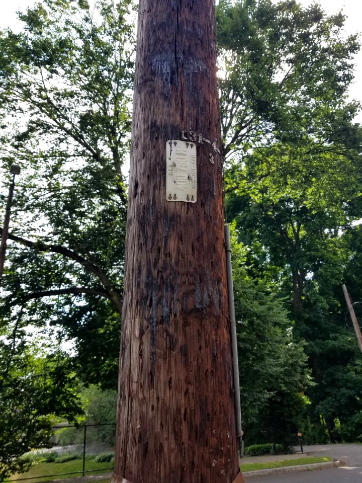B&M - Utility pole - Arlington, MA - 20200704 095710