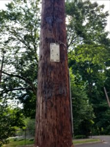 B&M - Utility pole - Arlington, MA - 20200704 095710
