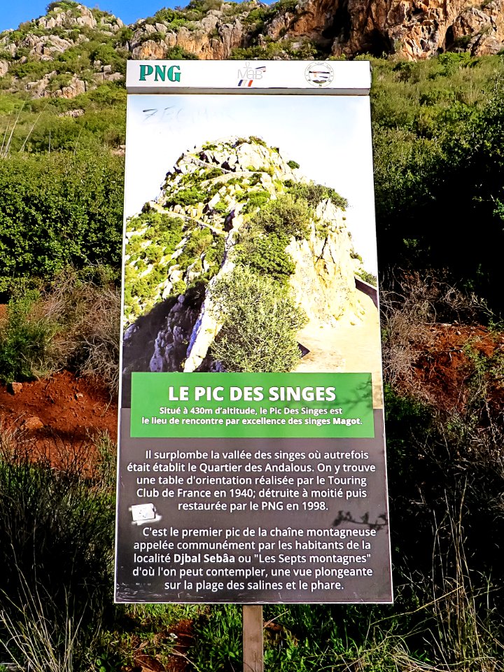 Béjaia - le pic des singes بجاية - قمة القردة 02
