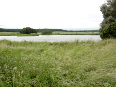 Bébing (Moselle) étang de Rinting