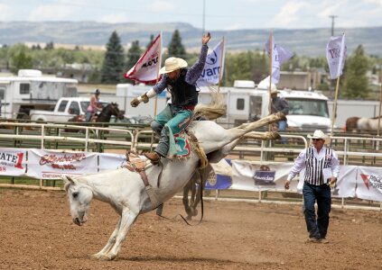 Bronco horse man photo