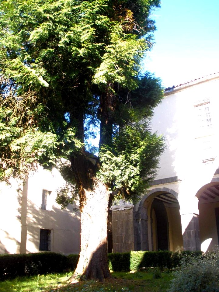 Azkoitia - Convento de Santa Cruz (Brigidas) 05