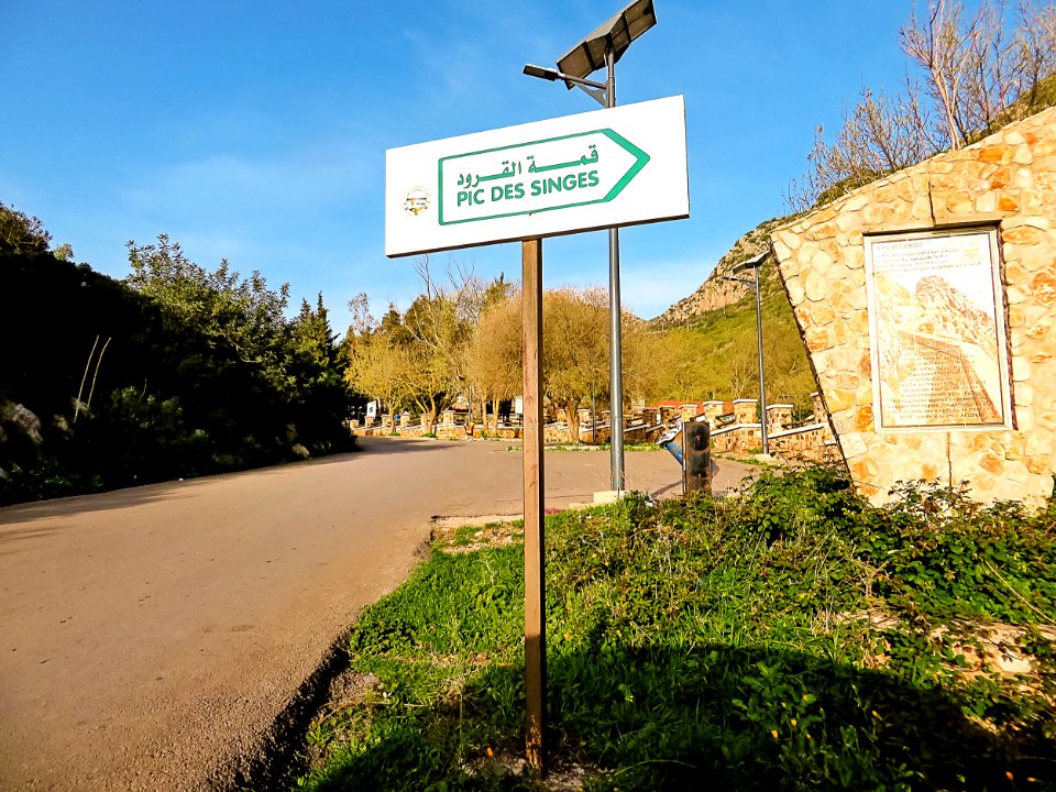 Béjaia - le pic des singes بجاية - قمة القردة 01