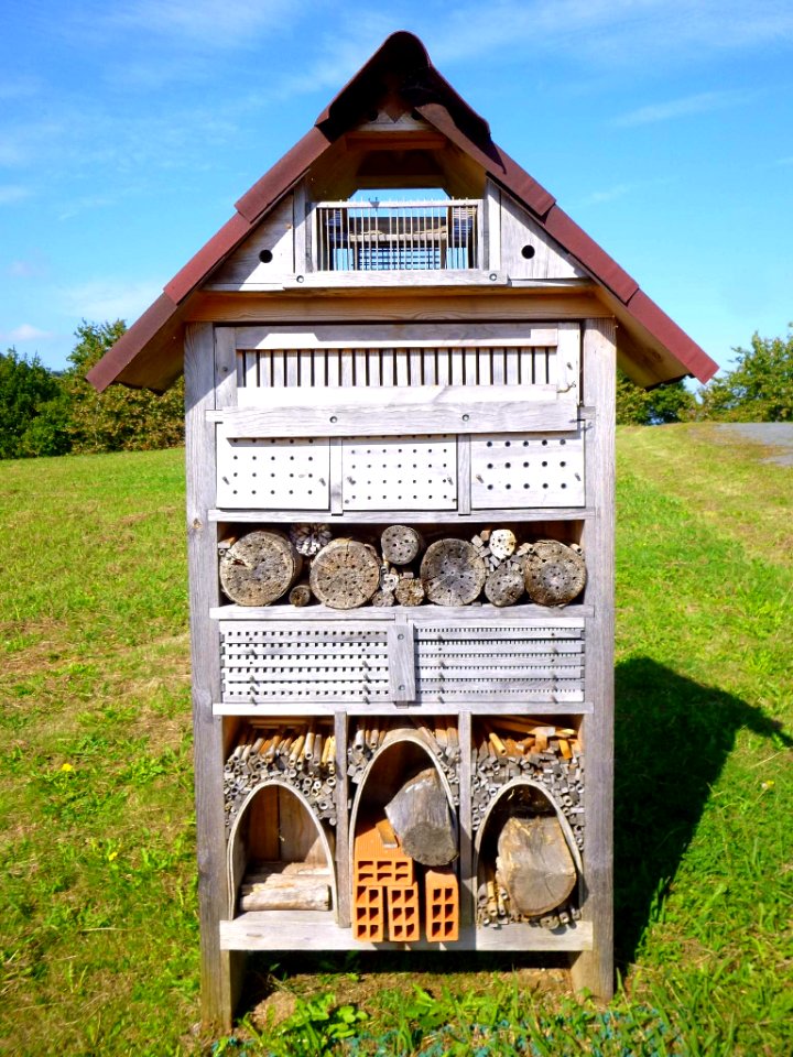 Axpe (Busturia) - 'Hotel de insectos' junto a la Torre Madariaga y Centro de Biodiversidad de Euskadi 3