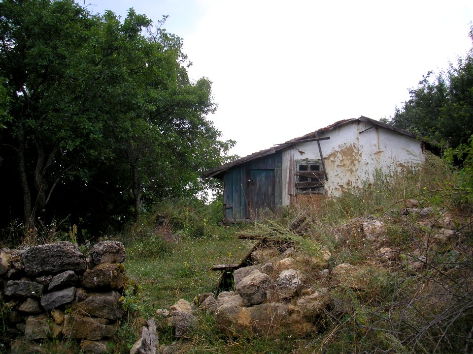 Ayirgul 5