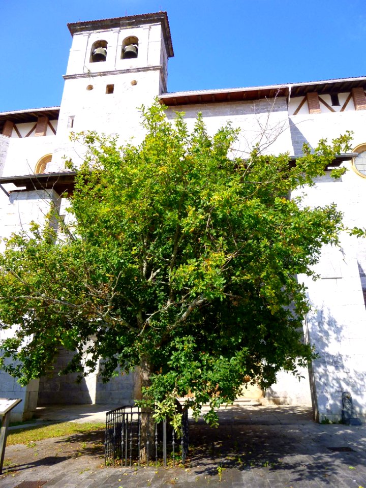 Axpe (Busturia) - Iglesia de Santa María de Axpe 08