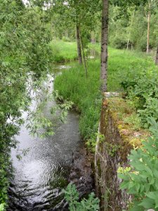 Béruges (Vienne) la Boivre