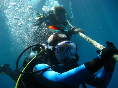 Sea red sea diving safari photo